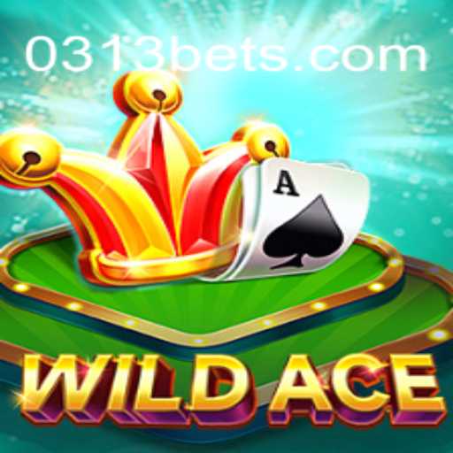 Explorando o Mundo de WildAce: Um Mergulho nas Regras e Dinâmicas de Jogo